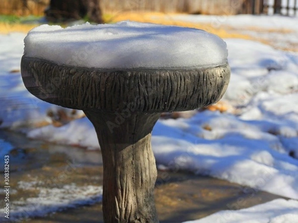 Fototapeta Close up of a bird bath with a layer of snow on top of it