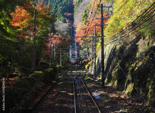 Obraz 高尾山　ケーブルカー