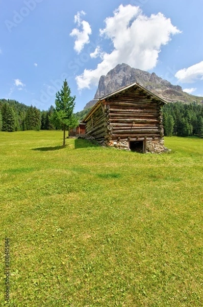 Fototapeta Mountain landscape