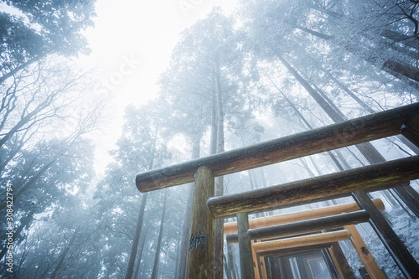 Obraz 鳥居と雪景色