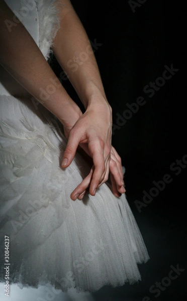 Fototapeta The ballerina