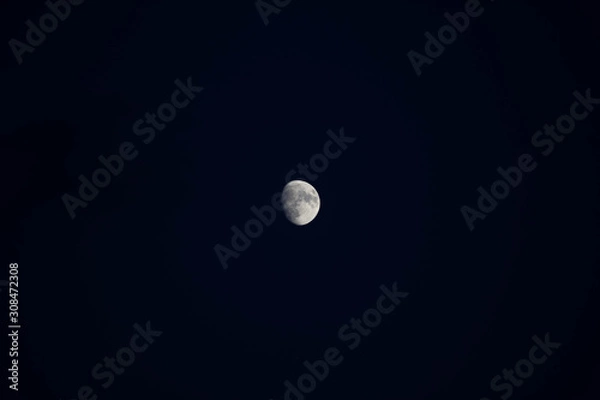 Obraz full moon in the sky