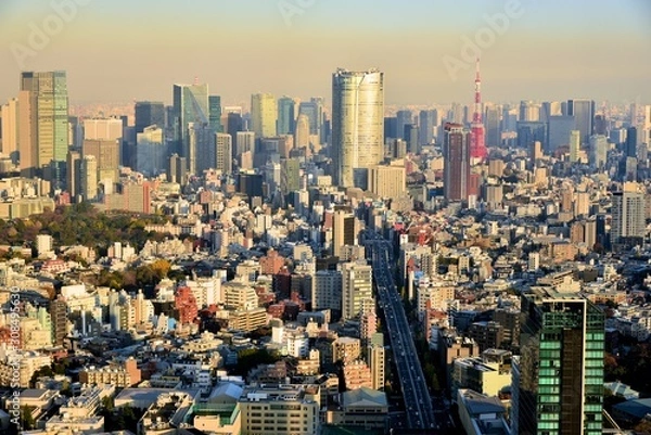 Obraz 東京の風景