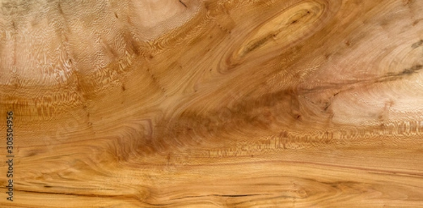 Obraz London Plane Timber