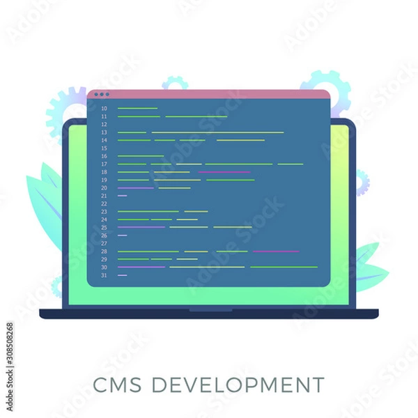 Fototapeta Website content management system (CMS) development flat vector icon. Programming and installation cms for website managing. Laptop with code window isolated on white background