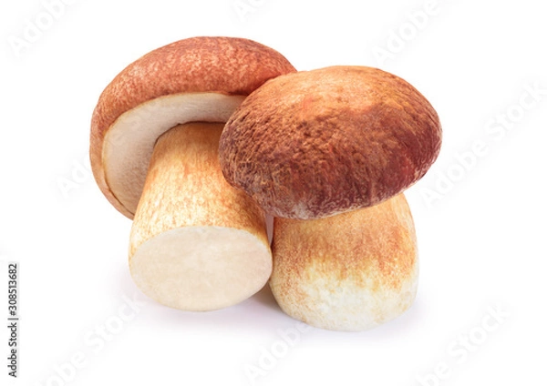 Obraz two ceps isolate on white