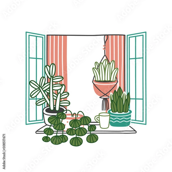 Obraz Illustration of house plants and flowers in pots in open window isolated on white background. House plants in pots on windowsill.