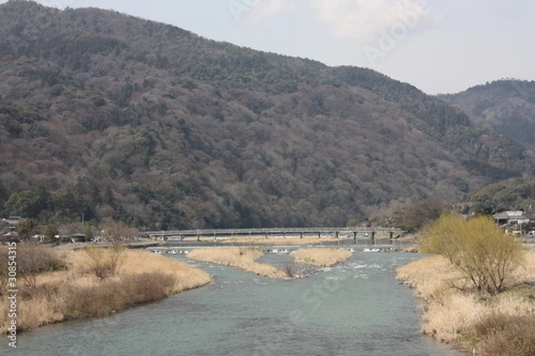 Fototapeta 京都の嵐山
