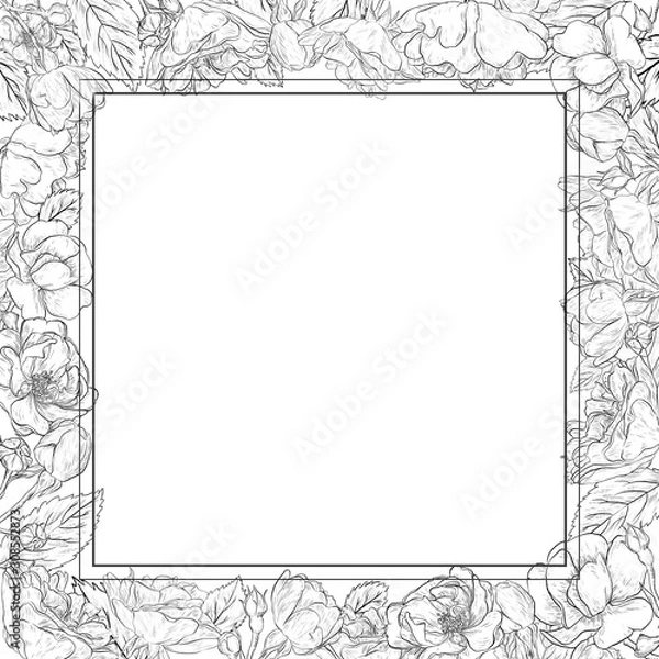 Fototapeta Square romantic frame with hand drawn floral element