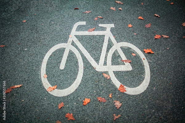 Obraz Radweg Zeichen 