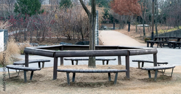 Obraz round bench in a park