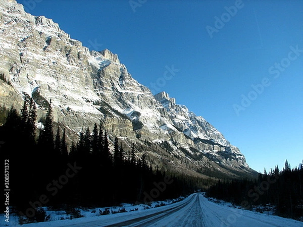 Obraz Rocky Mountains with Icefields Highway