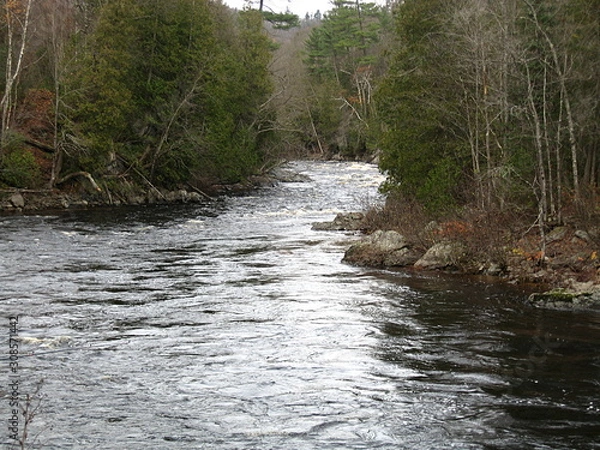 Obraz Muskoka River