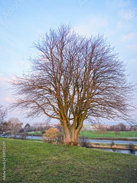 Obraz Ved Kastrupfortet
