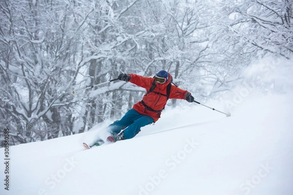 Fototapeta  Funny skiing.