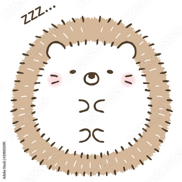 Fototapeta かわいいハリネズミ/動物/寝る/昼寝