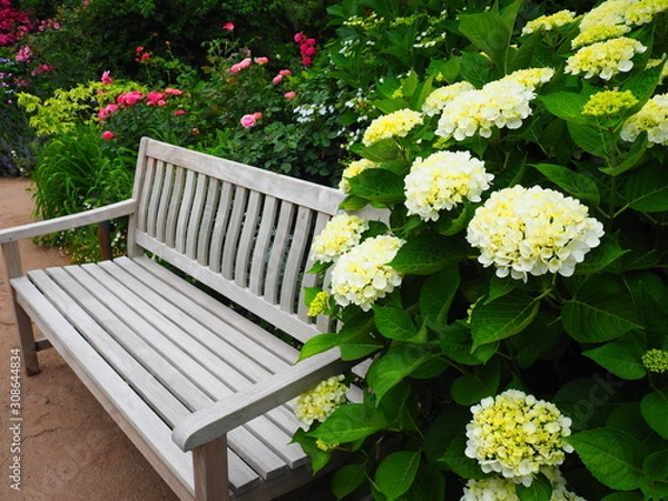 Obraz ベンチとあじさい