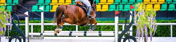 Fototapeta Horse and rider in uniform performing jump at show jumping competition. Horse horizontal banner for website header design. Equestrian sport background. Selective focus.