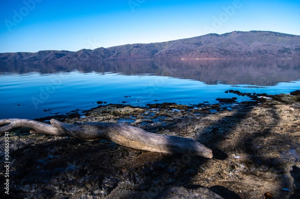 Fototapeta 晴天の屈斜路湖。初冬の風景。