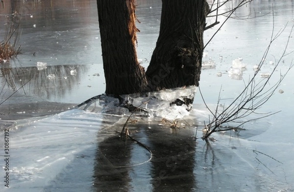Fototapeta Baum im Eis