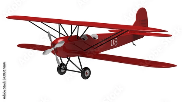 Fototapeta The plane