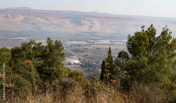 Fototapeta the agamon hula nature reserve in the hula valley from the Koach Fortress in the upper galilee with trees in the foreground and the golan heights in the background