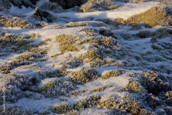 Obraz Winter in Island