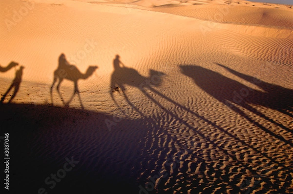 Obraz cień karawany