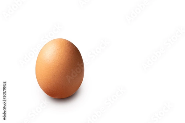 Fototapeta Single brown chicken egg isolated on white background cutout
