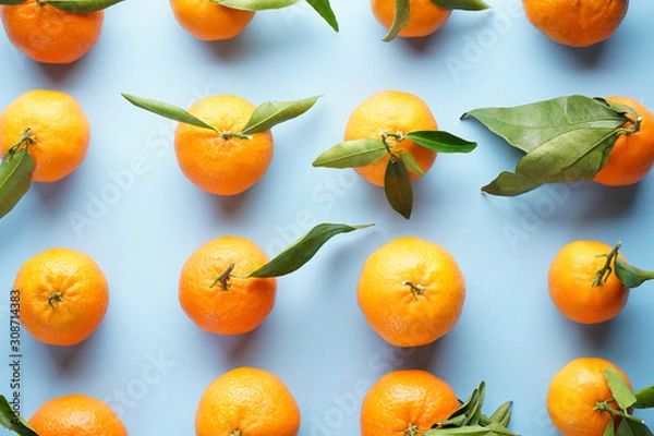 Fototapeta Fresh orange tangerines with leaves, on a blue background. Flat lay.