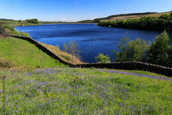 Fototapeta Spring view over Leighton Reservoir, Nidderdale, North Yorkshire, England, UK