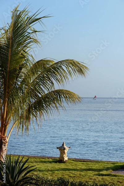 Obraz Palm tree and lantern on the ocean. Bali