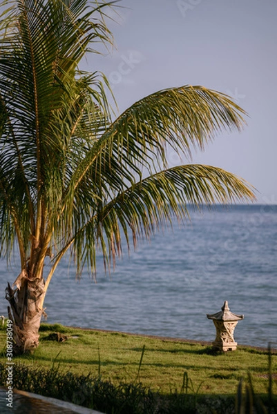 Obraz tropical beach with palm trees