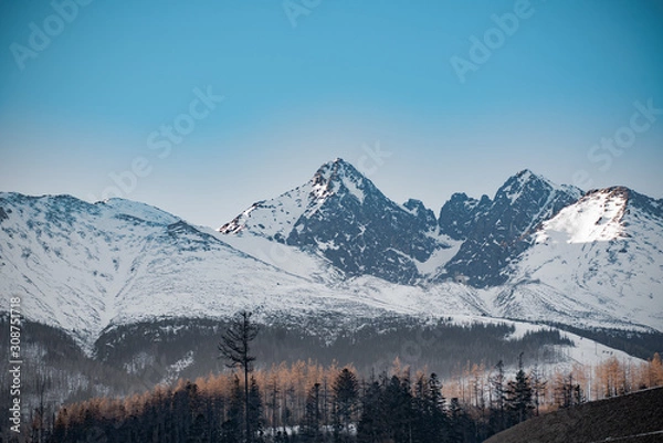 Fototapeta mountains in winter