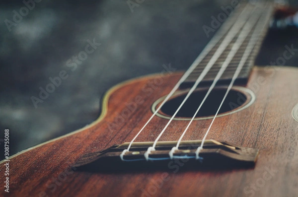 Obraz Acoustic, stringed instruments are popular in modern music.