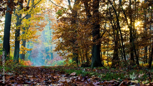 Obraz Autumn morning