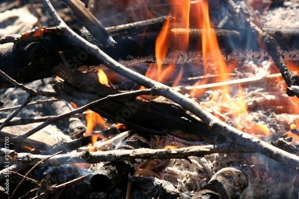 Obraz fire