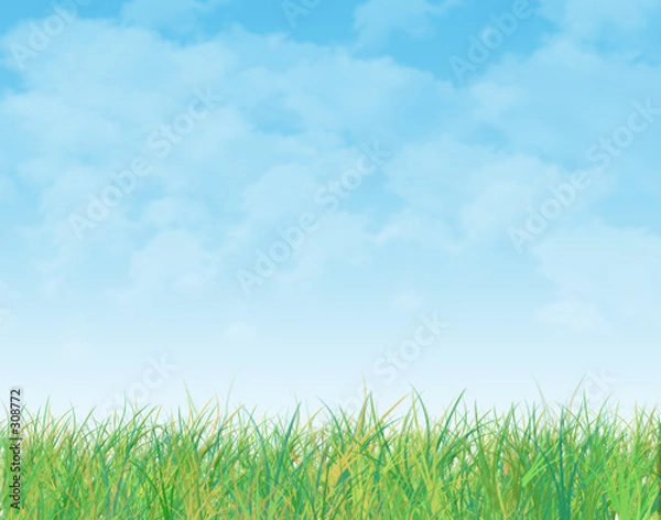 Obraz sky and grass