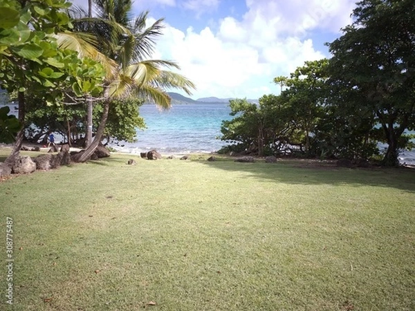 Obraz tropical beach with palm trees