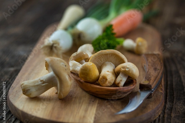 Obraz fresh Calocybe gambosa mushroom and knife over wooden cutting board