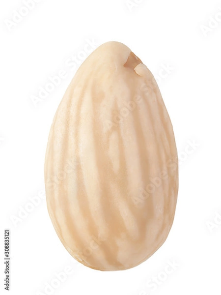Obraz Blanched almond isolated on white