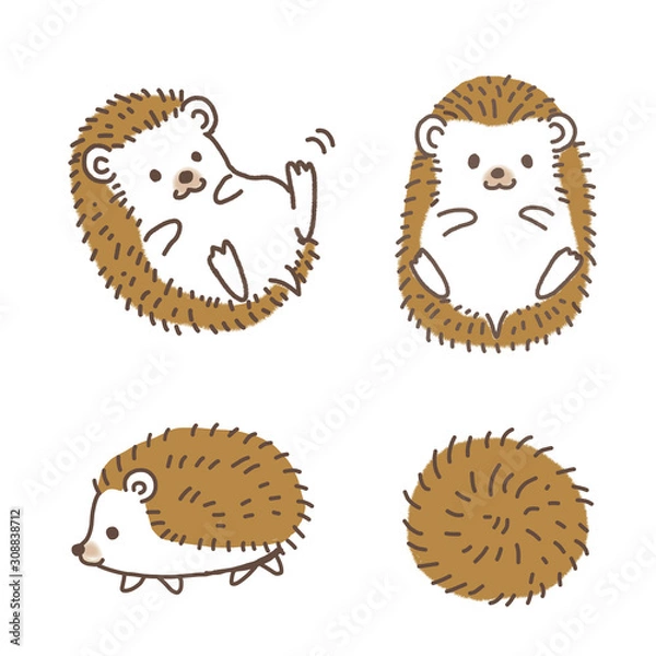 Obraz ハリネズミのイラスト