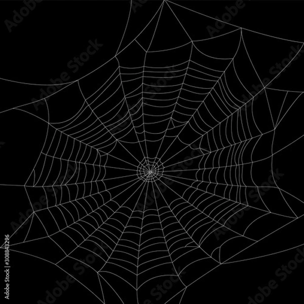 Obraz Vector web, silhouette. Design element on dark isolated background.