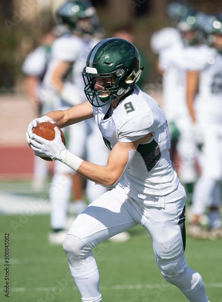 Obraz Action photo of athletic football player making amazing play during a football game