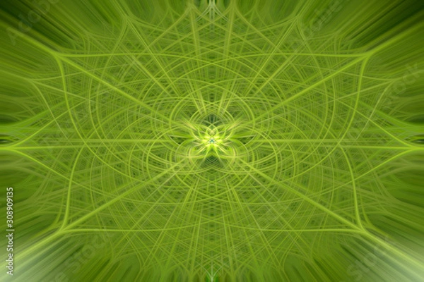 Fototapeta Beautiful green abstract background, mandala with a lot of lines