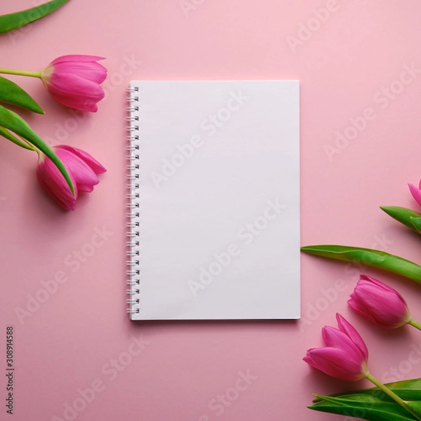 Fototapeta Pink Holland tulips on pink background with blank notepad for text, copyspace, background, top down view, square shot