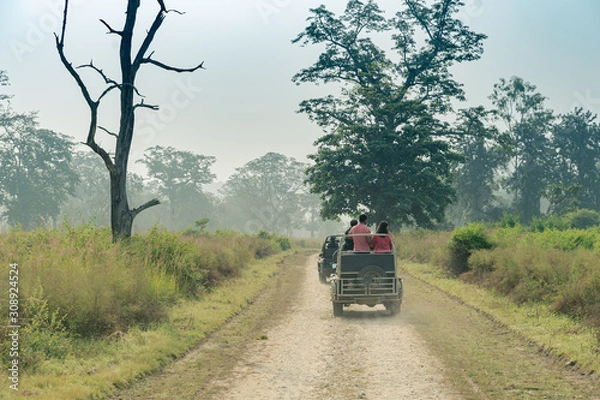 Fototapeta Tourist in jeep navigating the forest of the Jim Corbett national reserve