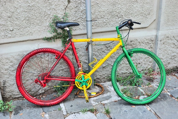 Obraz an italy tree color bike