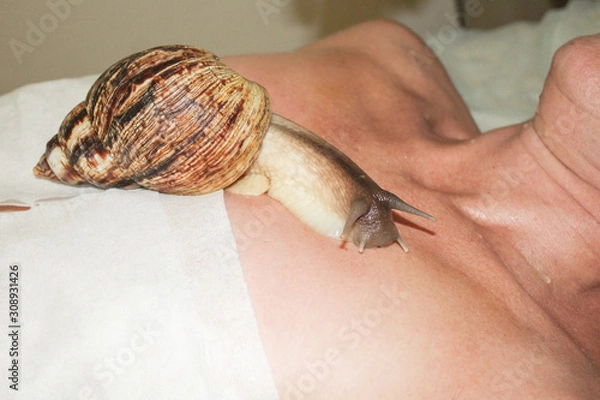 Obraz Young woman is being treated with a snail in beauty salon, close-up