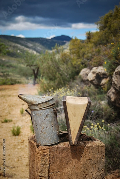 Obraz bench in the park